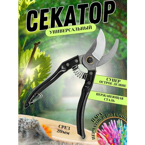 ������ ������ ������� ������� ����