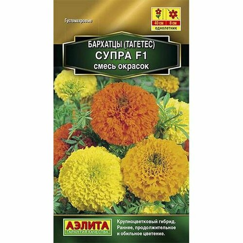 ������ ������ ������ �������� �����, ����� F1, ��. (����������) (������) 10�� ����