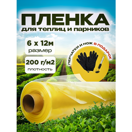 ������ ������ ������ �������������� ��� ������ � �������� ���� 200��� 6�12� ����