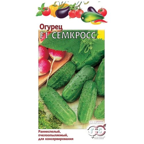 ������ ������ ������ ������ �������� F1 10�� �� ������ (������) ����