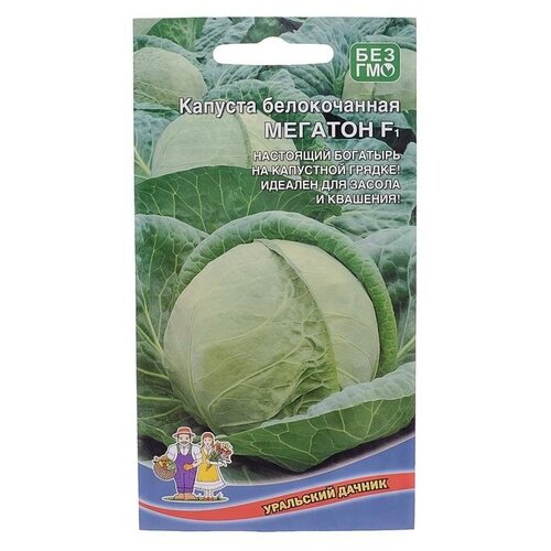 ������ ������ ������ ������� ������������ 