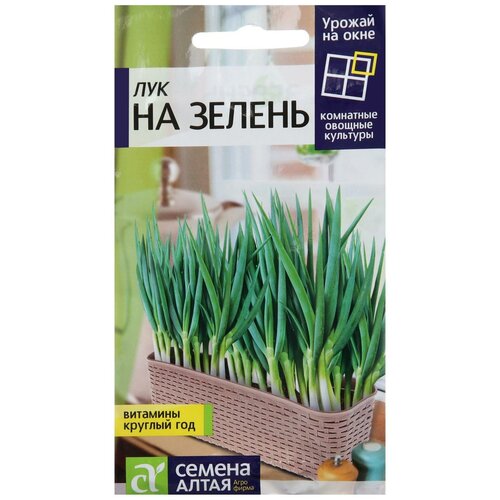 ������ ������ ������ ��� �� ������, ���. ���, �/�, 0,5 � ����