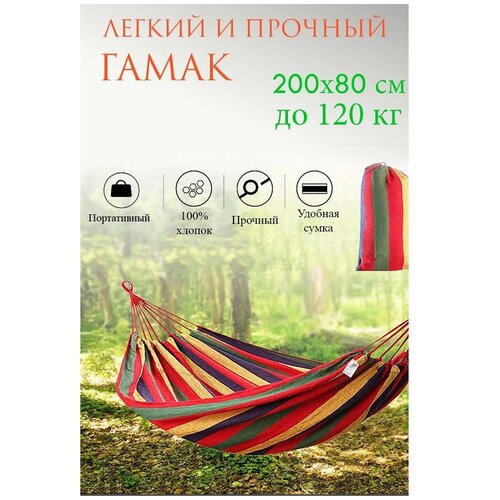 ������ ������ ����� ��������, 200�80�� ����