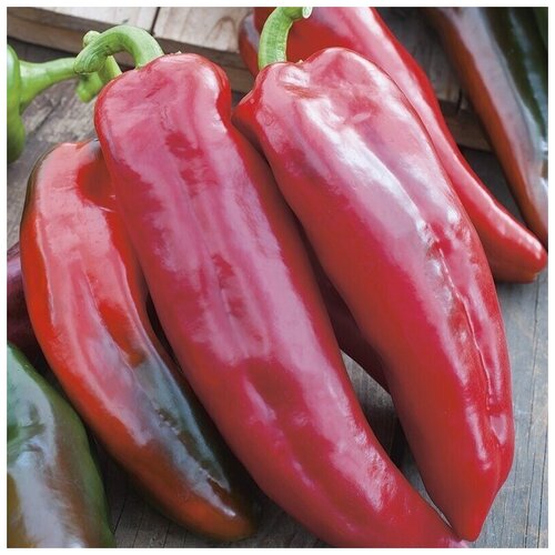 ������ ������ ������ ������ ����� ��������� ������� 10 ��. ����