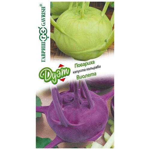 ������ ������ ������. ������� �������� 