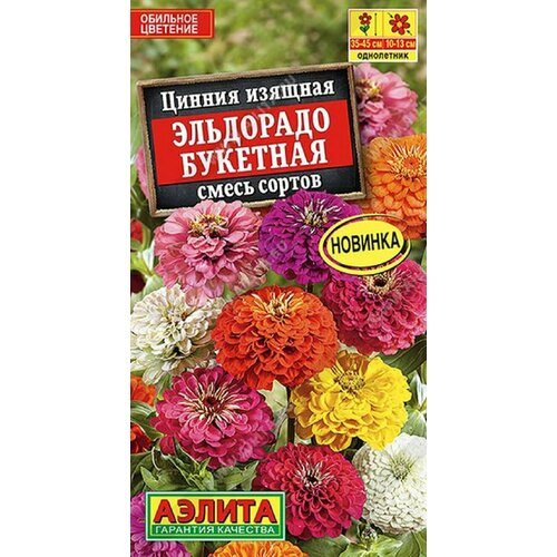 ������ ������ ������ ��������� ��������, ����� ������ ����