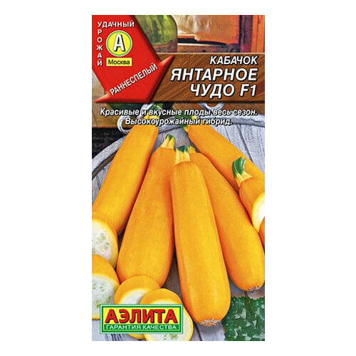 ������ ������ ������ ������� �������� ���� F1 ������� 5�� ������ ������ (������) ����