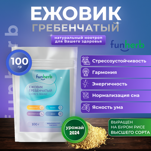 ������ ������ ������ ����������� ������� ������� ����