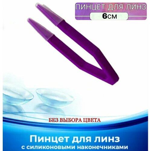 ������ ������ ������/������ ��� ���� ����