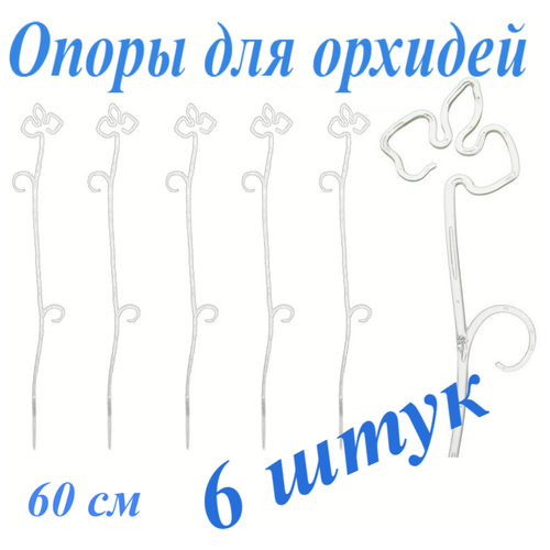 ������ ������ ����� ��� ������� ���������� 60 �� 6 �� ����