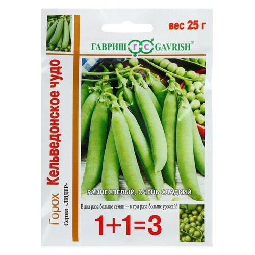 ������ ������ ������ ����� 1+1 