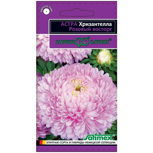 ������ ������ ������. ����� ����������� 