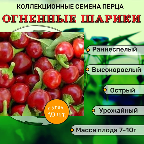 ������ ������ ������������� ������ ����� ������� �������� ������ ����