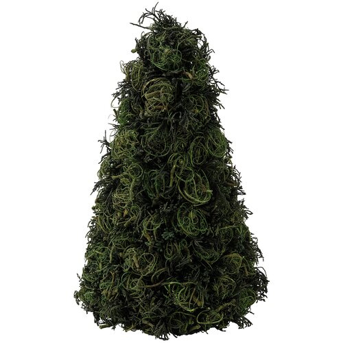 ������ ������ ������� ���� ������ 2021 90504223, 30 ��, ������� ����