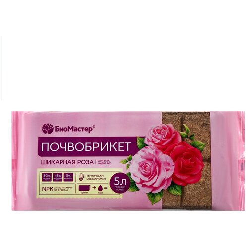 ������ ������ ����������� ��������� 