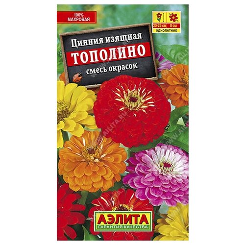 ������ ������ ������� ������ 