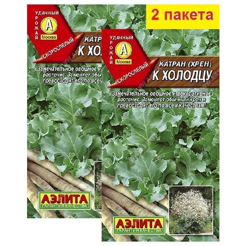 ������ ������ ������ (����) � ������� (0,3 �), 2 ������ ����