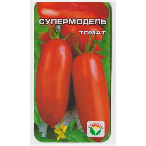 ������ ������ ������ ����� ����������� 20�� ��� (��������� ���) ����