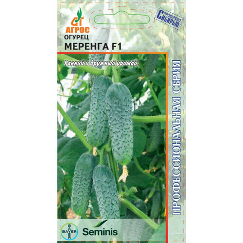 ������ ������ ������ ������ ������� F1 �������� 8�� ������������������ ������ (�����) ����