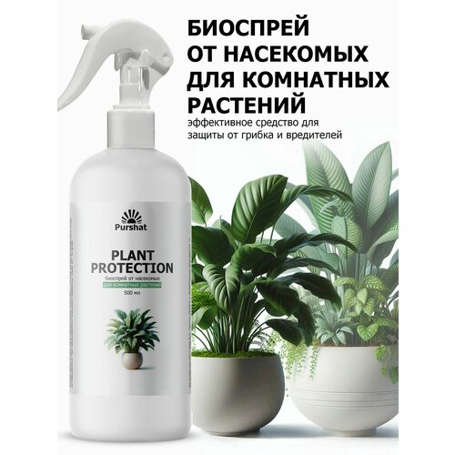 ������ ������ �������� �� ��������� ��� �������� Purshat 500 �� ����