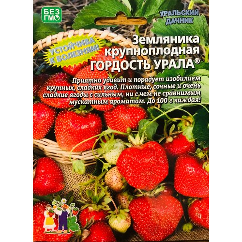 ������ ������ ������ ��������� ������������� 