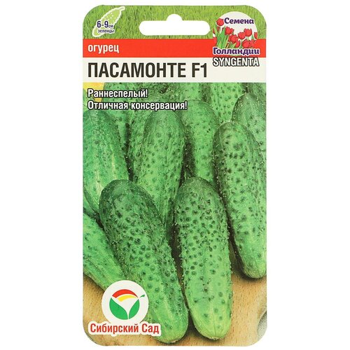 ������ ������ ������ ������ ��������� F1, �������������, 5�� ����