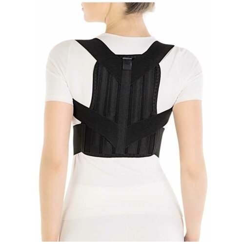 ������ ������ ��������� ������ Trives �.54.01 (�-1778) ������ L ����