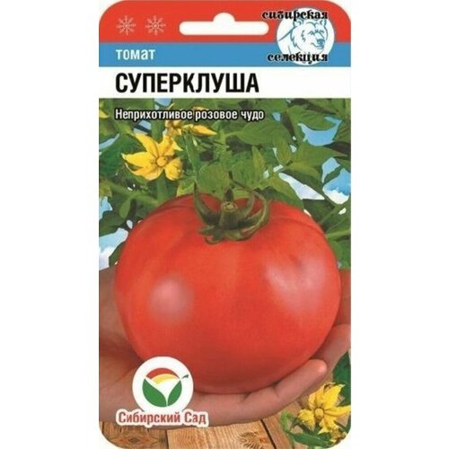 ������ ������ ������ ����� ���������� 20�� ��� (��������� ���) ����