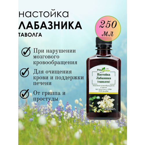 ������ ������ �������� ���������, 250�� ����