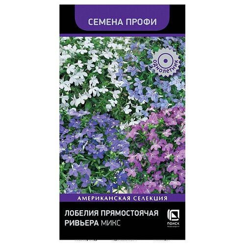 ������ ������ ������ ������� ������������ ����� ������� ����, 10 ��, 1� ����