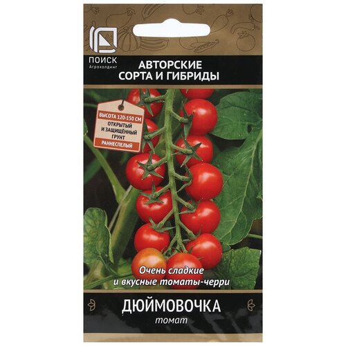 ������ ������ ������ ����� ����� ���������� 12 �� ����