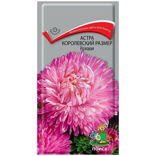 ������ ������ ������ ����� ����������� ������ �������, 0,1 � ����