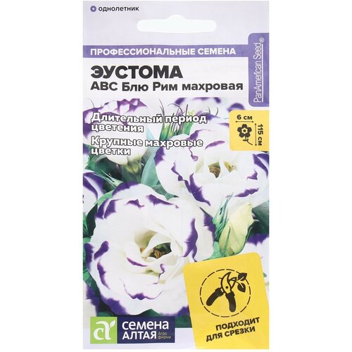 ������ ������ ������ ������ ������� ABC ��� ��� ��������, ��, 5 ��. ����