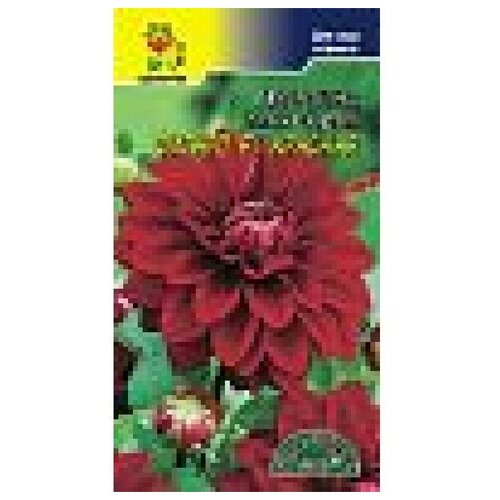 ������ ������ ������ �������� ��� 