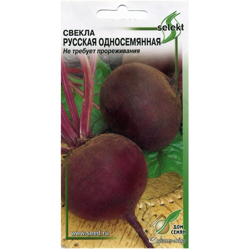 ������ ������ ����� ������� ������������, 240 ����� ����