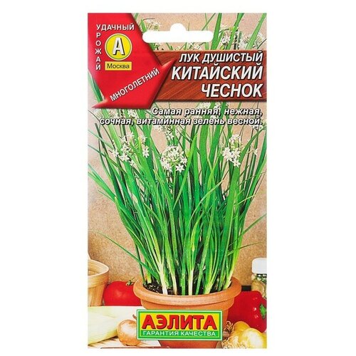 ������ ������ ������ ��� �������� 