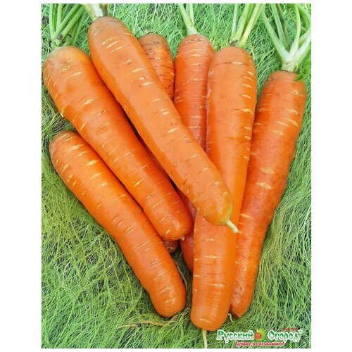 ������ ������ ������. ������� �� (���: 2 �) ����