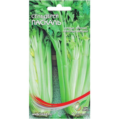 ������ ������ ��������� ���������� �������, 850 ����� ����