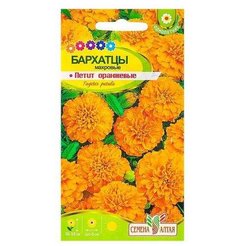 ������ ������ ������ ������ �������� 