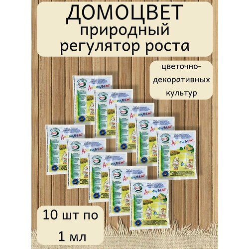 ������ ������ ��������� ��������� ����� �������� ���. 1 ��, 10 ����� ����