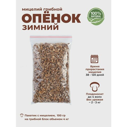 ������ ������ ������ ������ ������ ������, ������� ��� �����������, �������� �������� ����