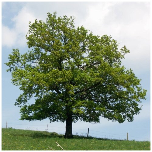 ������ ������ ������ ������ ��� ���������� 10 ��. ����