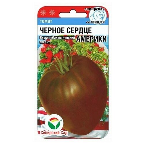 ������ ������ ������ ��������� ��� ����� ������ ������ �������, 20 �� ����