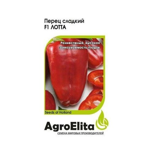 ������ ������ ������. ����� 