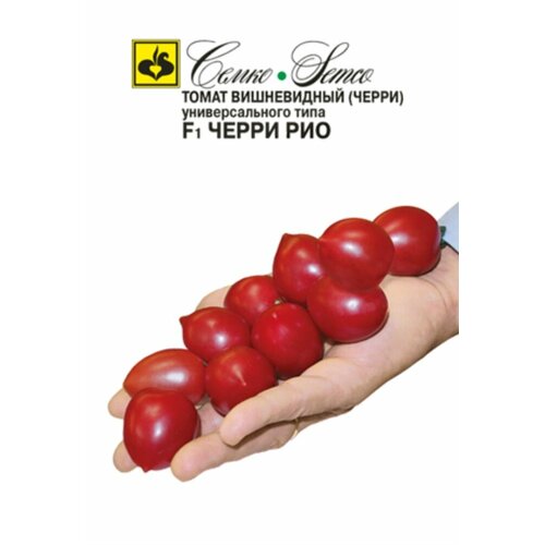 ������ ������ ������ ����� ����� ��� F1 10�� ����� ������ (�����) ����