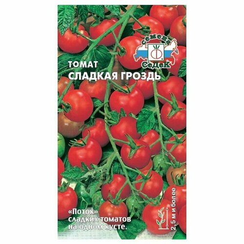 ������ ������ ����� ������� ������ (3 ��������), ������ ����