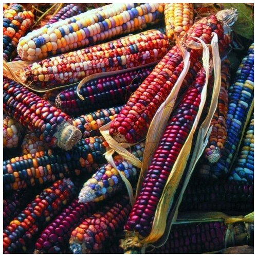 ������ ������ ������ ������ �������� ������� ������� 10 ��. ����