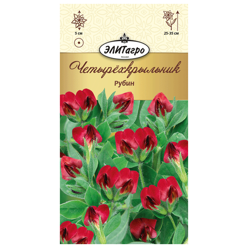 ������ ������ ��������������� ����� (0,25 �), 2 ������ ����