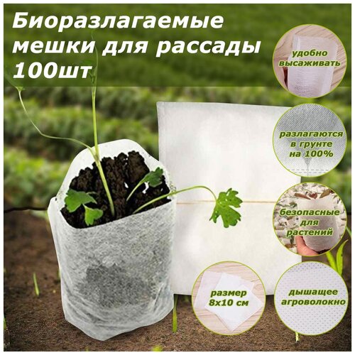 ������ ������ �������������� ����� ��� ������� 100�� ����