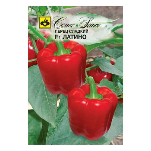 ������ ������ ����� ������ F1 ����